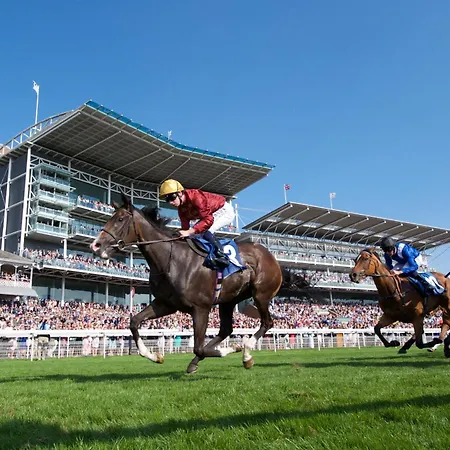 73 East Parade Cherry Tree - Modern 3-bed Duplex In With 75 Inch Tv - Pass The Keys *